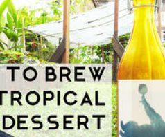 How to Make Tropical Dessert Wine (in Climates Like Singapore!)