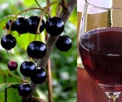 Blackcurrant Wine - DIY Recipe