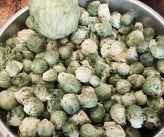 Freezing Brussels Sprouts