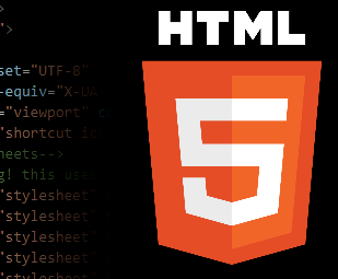 The Basics of HTML