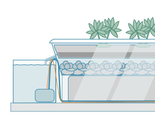 Aquaponic Model