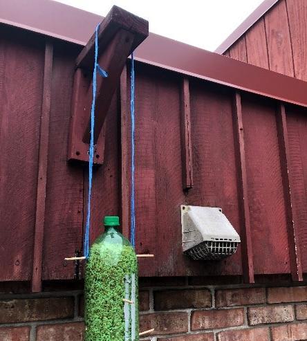 Making a Bird Feeder Out of House Hold Materials