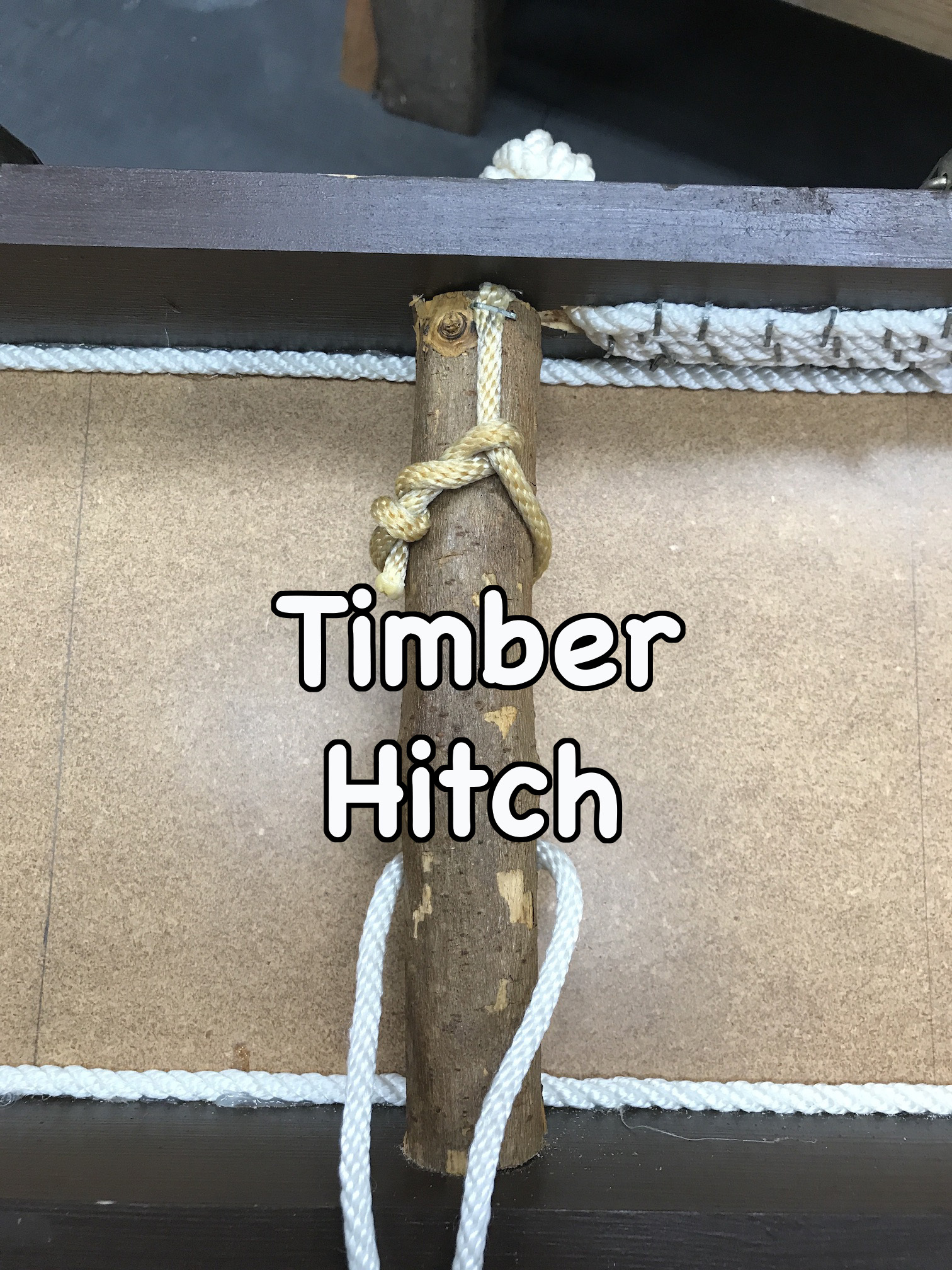 02 Timber.JPG