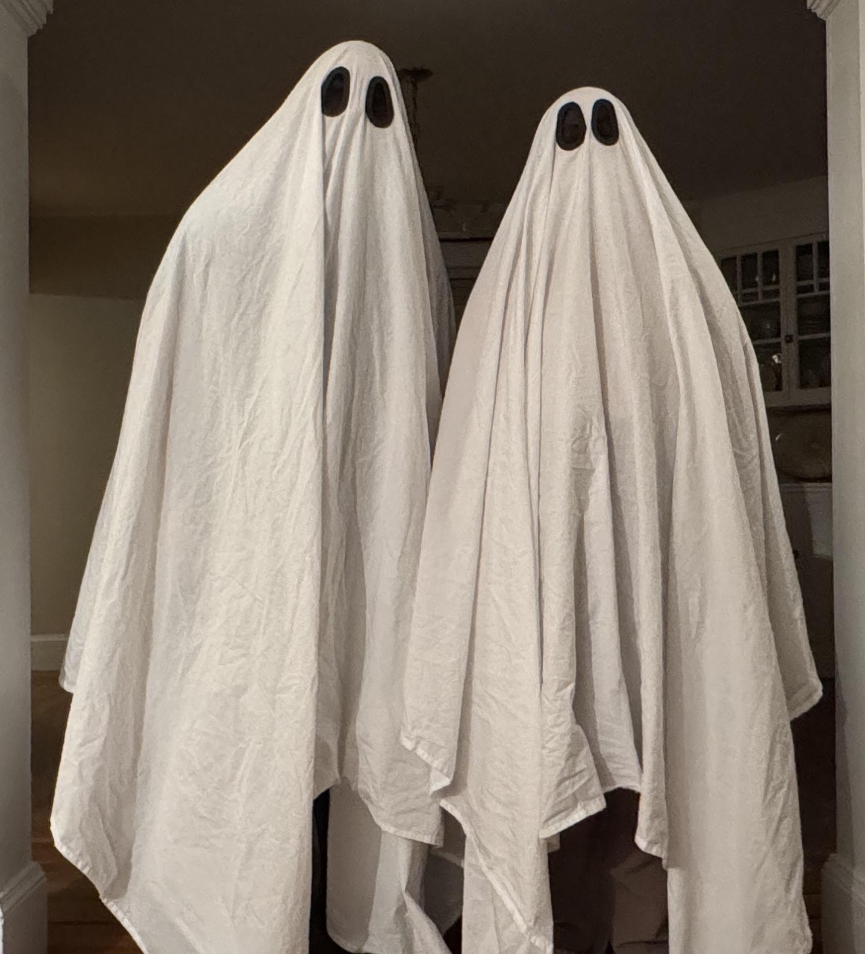 20.1_BALES_Sheet Ghosts.JPG