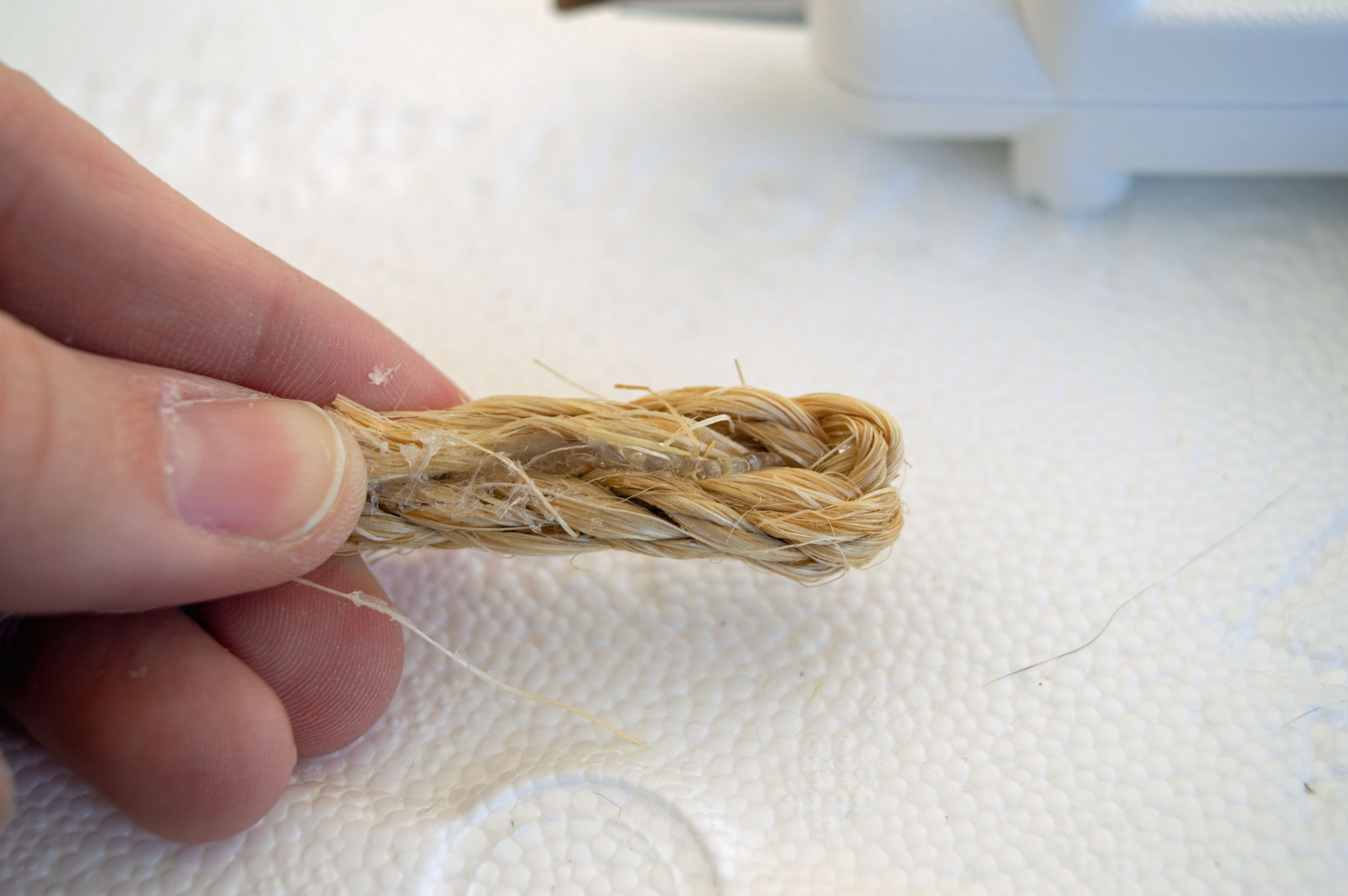 4b glue rope.jpg