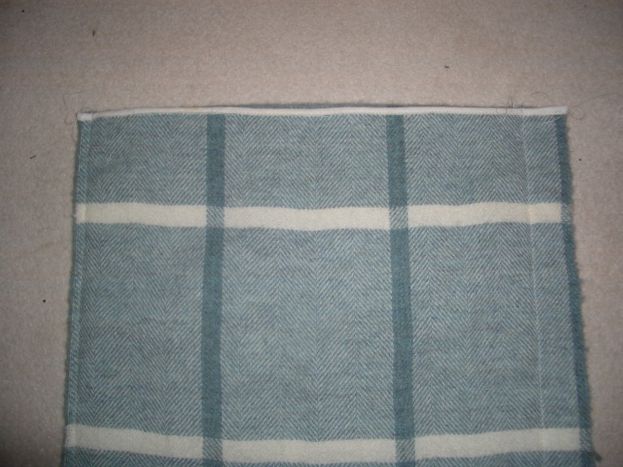 7.Sides sewn.JPG