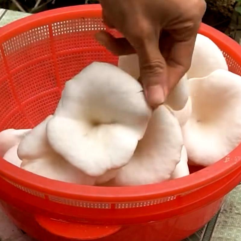 Amazing Tips for Growing Mushrooms at home  #GrowingMushrooms.00_03_36_22.Still112.jpg