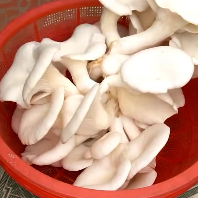 Amazing Tips for Growing Mushrooms at home  #GrowingMushrooms.00_03_41_20.Still113.jpg