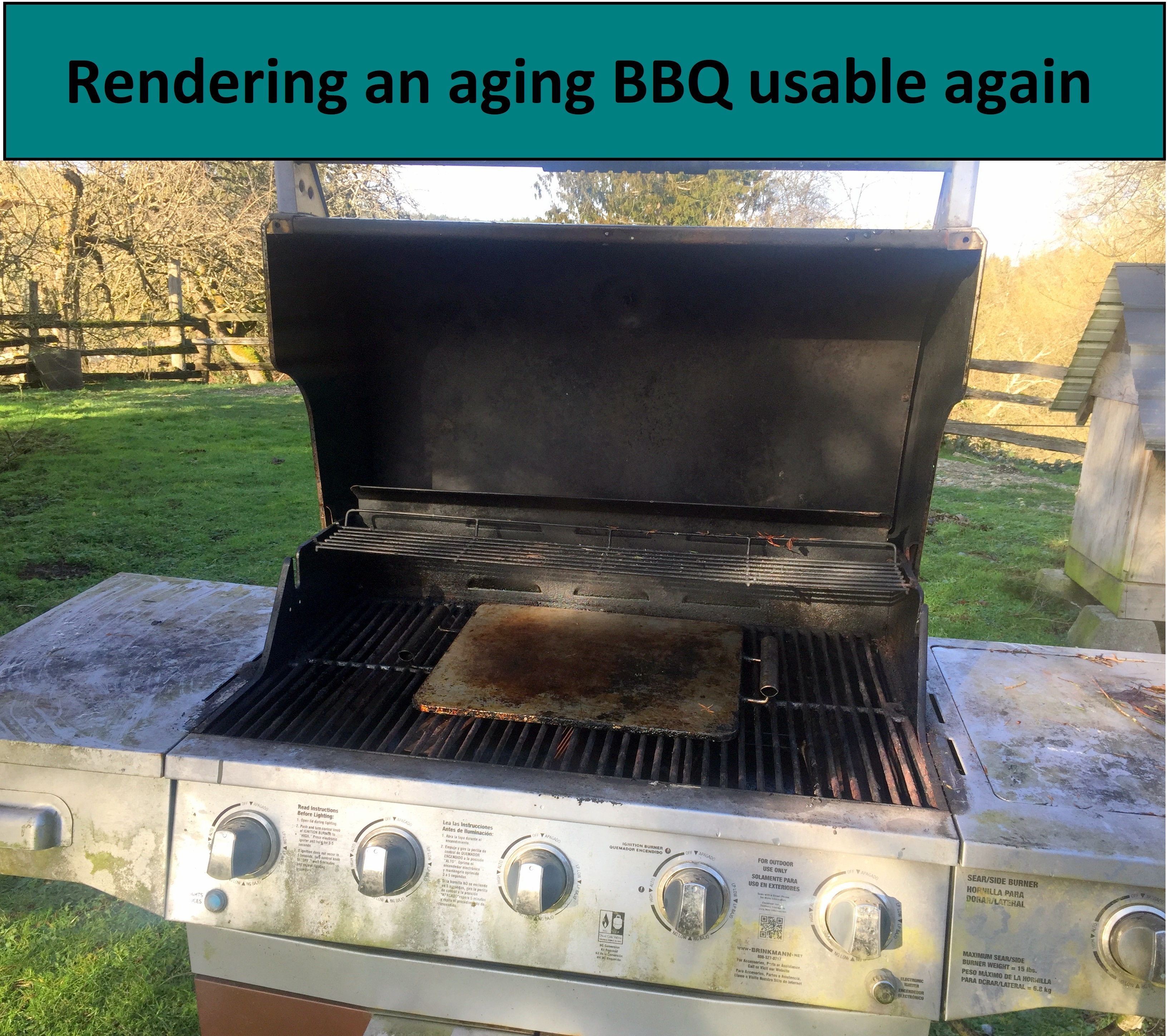 BBQ Cover.jpg