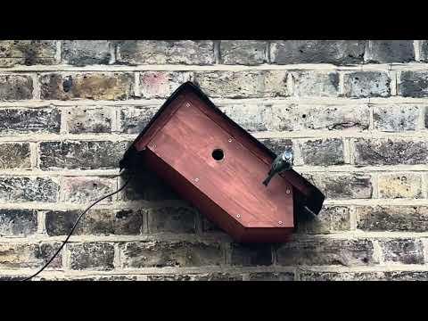 Birdbox Setup in Shed - 21 April 2024