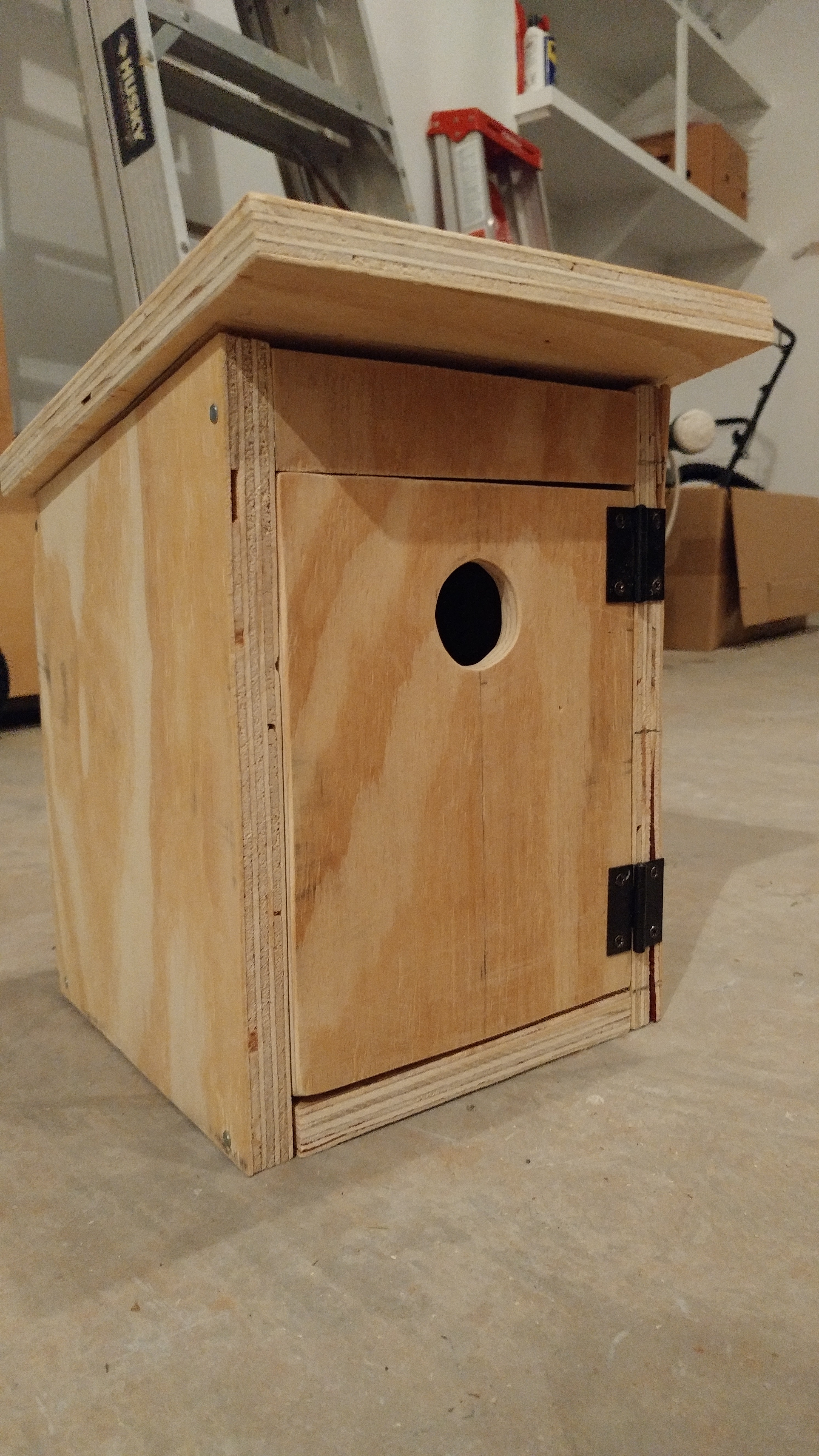 Birdhouse.jpg