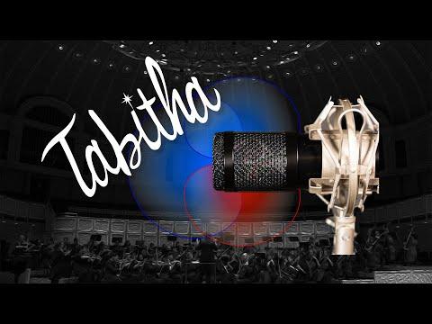 Build Tabitha! A self contained MS Microphone