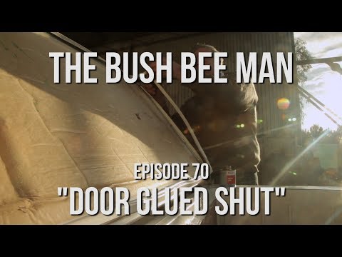 Building a Top Bar Bee Hive Using a Fridge (Part 5 of 5) - Episode 70: &amp;quot;Door Glued Shut&amp;quot;