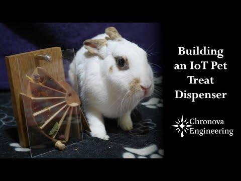 Building an IoT Pet Treat Dispenser