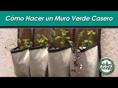 C&amp;oacute;mo Hacer Un Muro Verde Casero