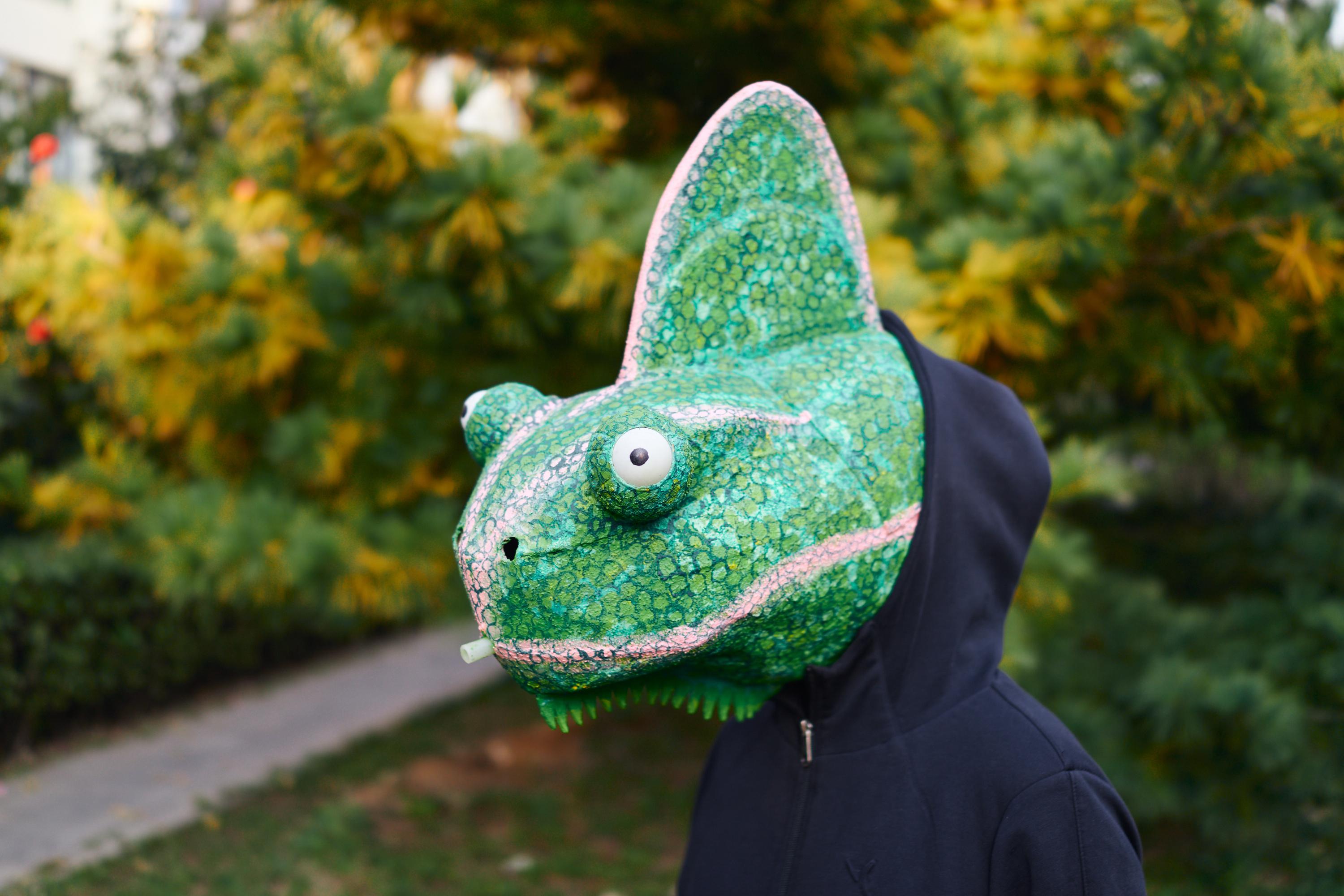 Chameleon_Garden 3.jpg