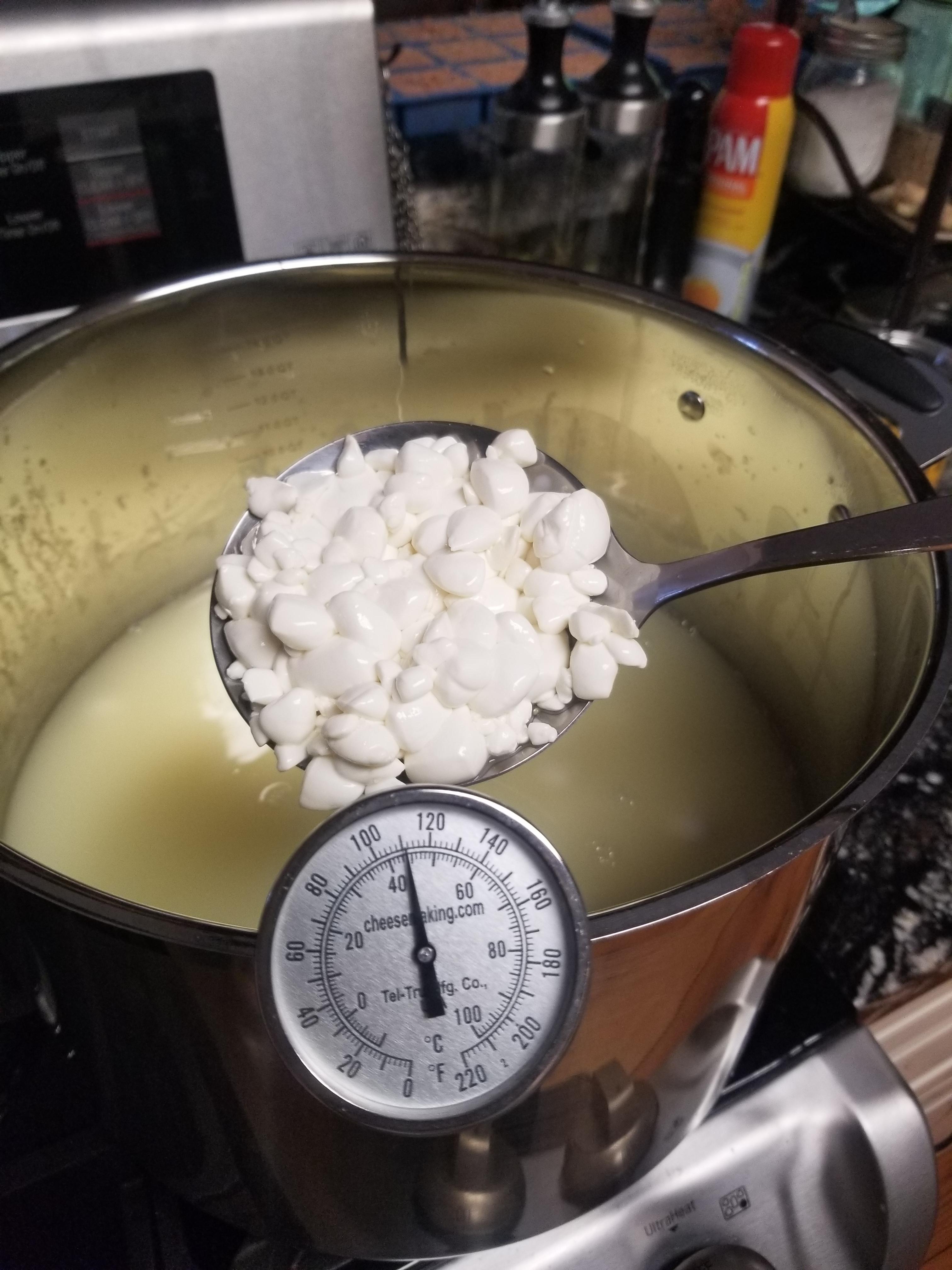 Curds at temp.jpg