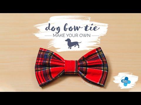 DIY Doggy Bow Tie | The Canine Story Tutorial