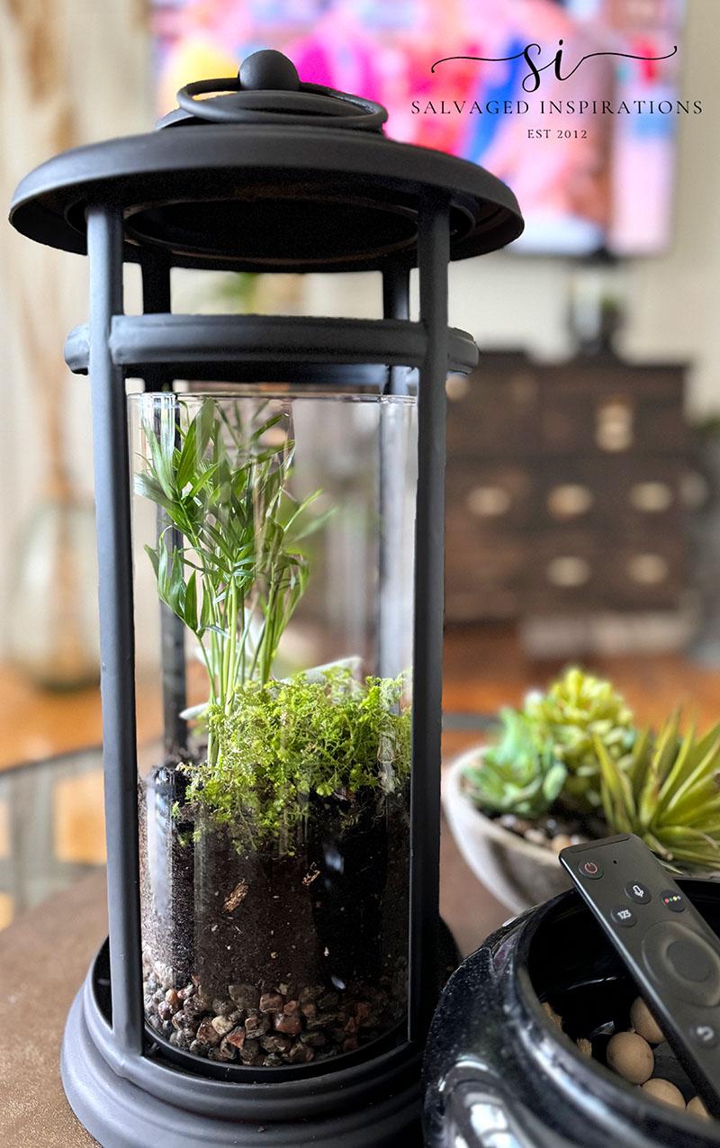 DIY-Terrarium-on-LR-Table.jpg