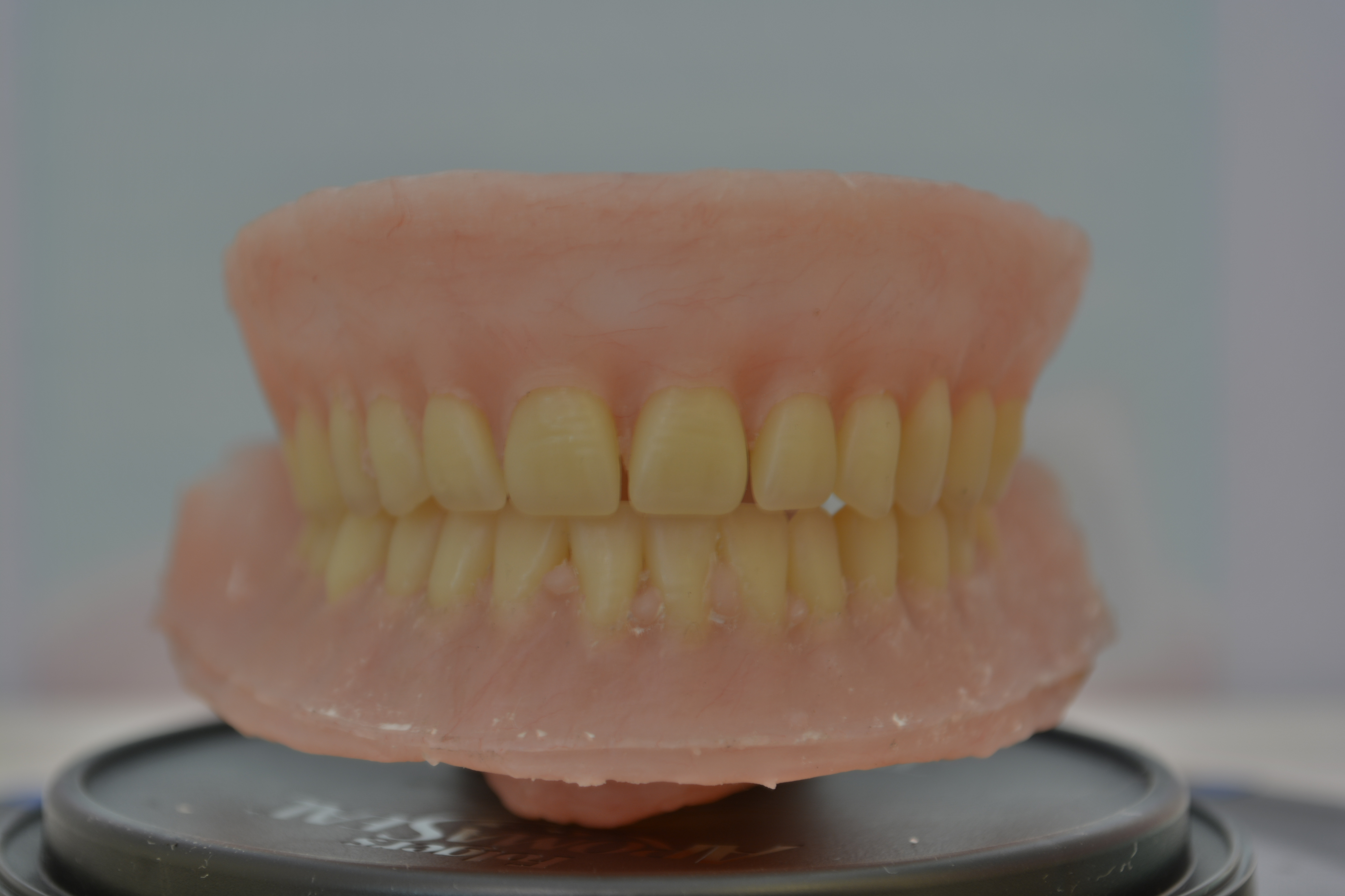 DentureInstructable026.jpg