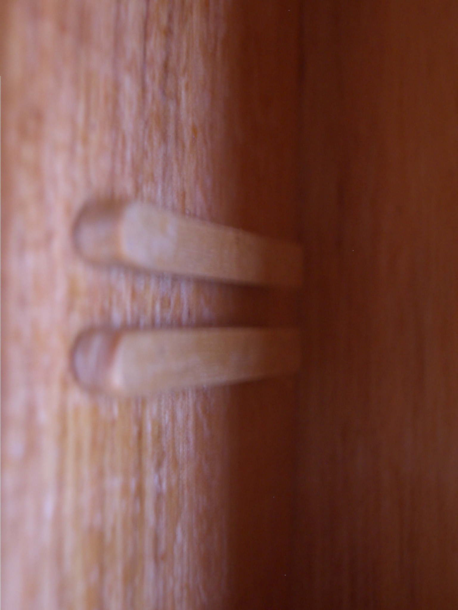 Detail of the slot.JPG