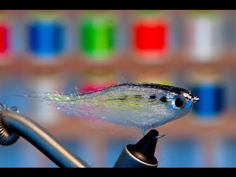 Fat Head Squishy Streamer - American Shad - Fly Tying Video