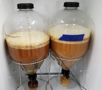 FermenterPic.jpg