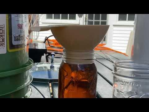 Filtering maple syrup