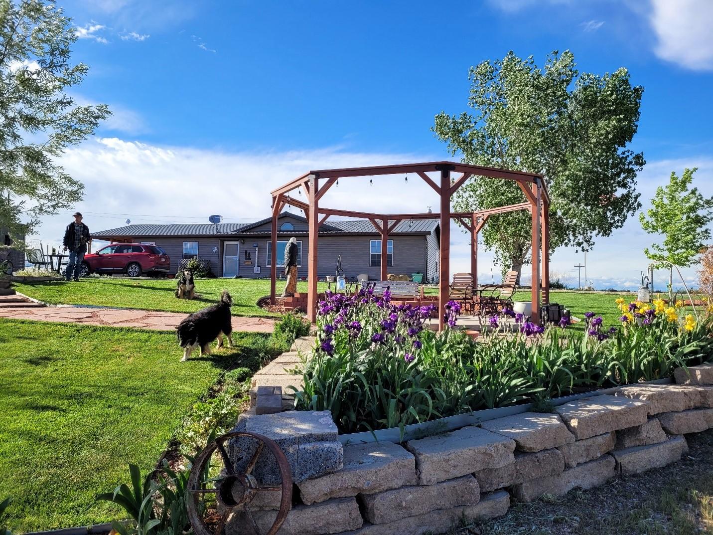 Final view pergola &amp; irises.jpg