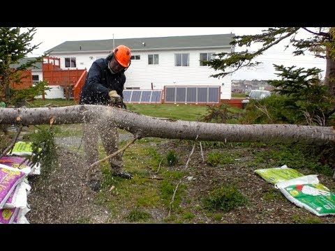 Fixing chainsaw bar oil problem with air compressor