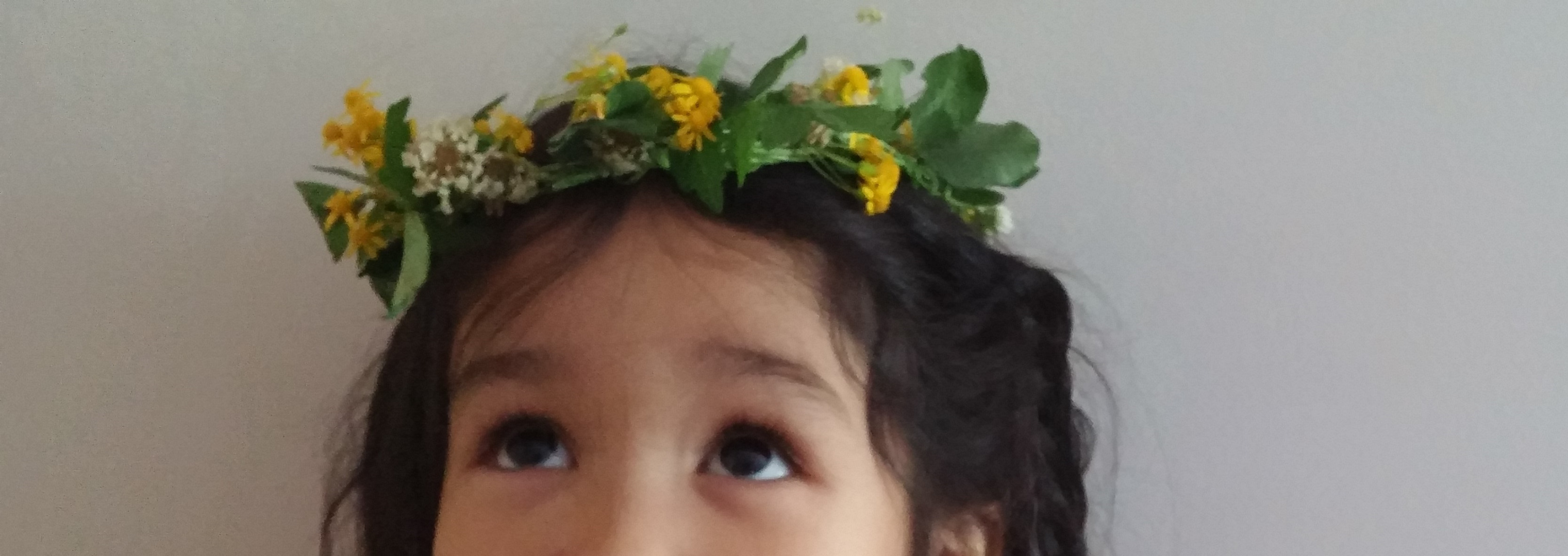 FlowerCrown.jpg