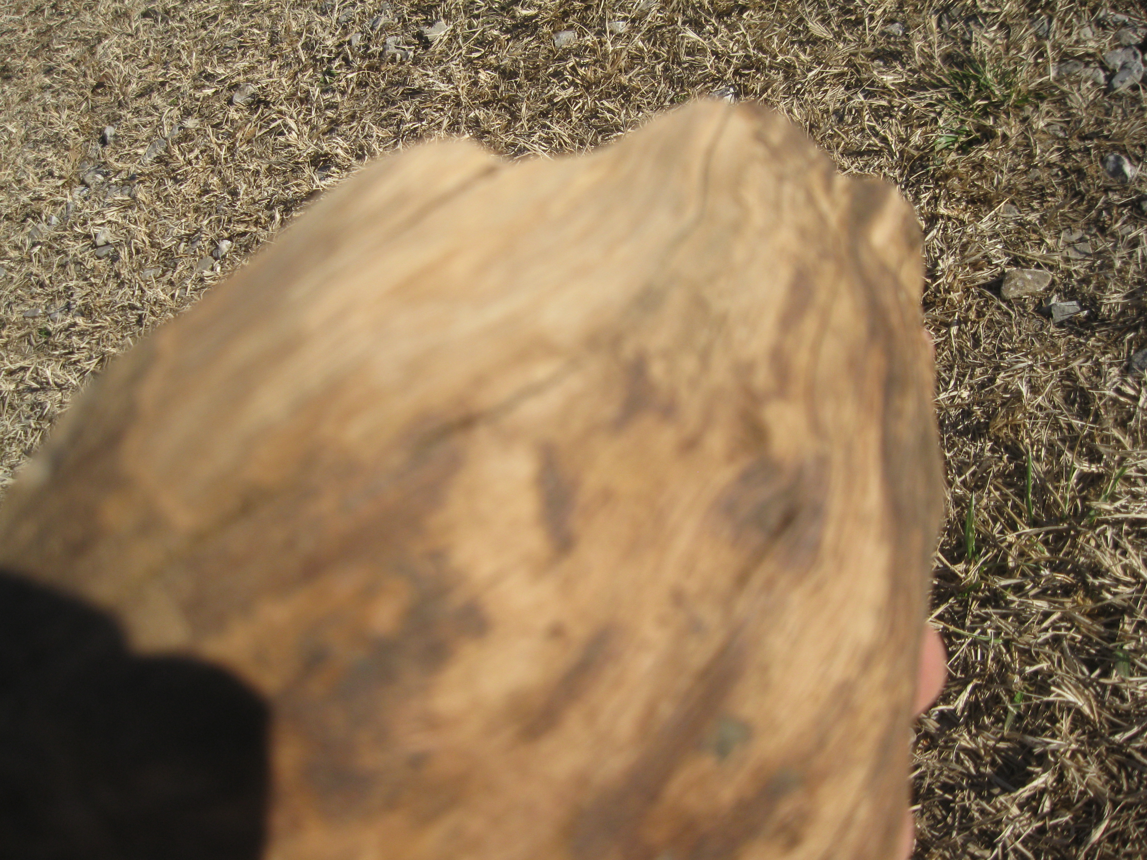 For Make somthing epic burl bowl 066.JPG