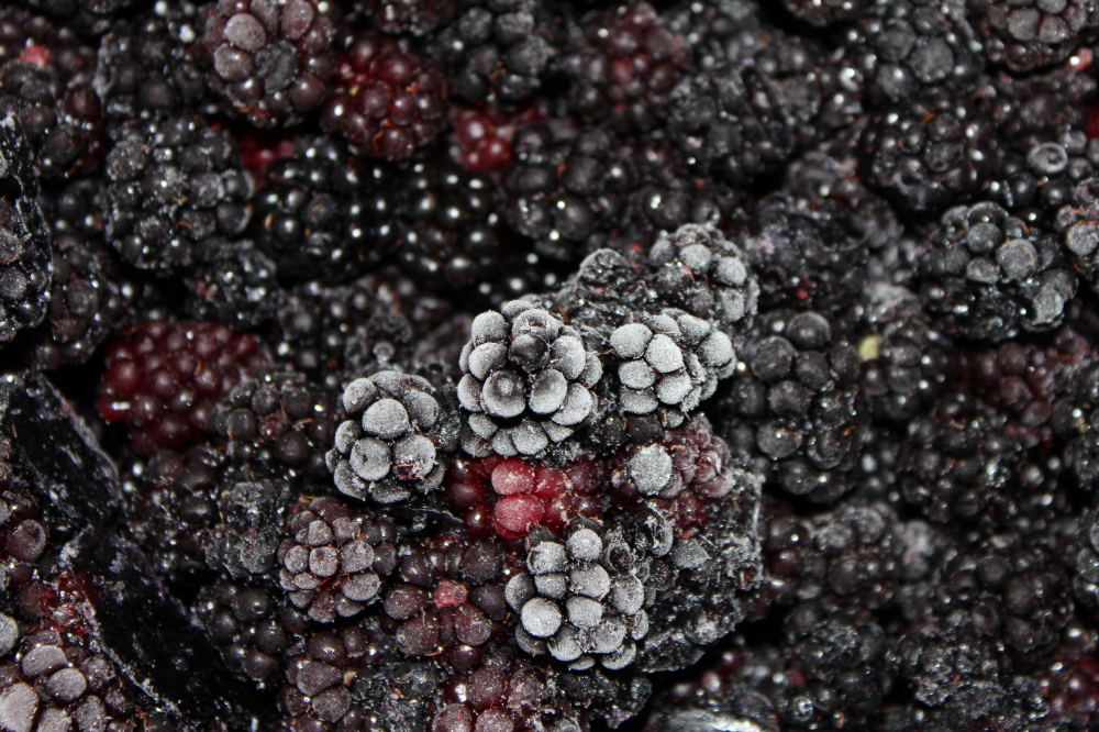 Frozen_Blackberries_3.jpg