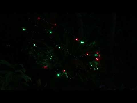 Holiday Twinkle LEDs 2