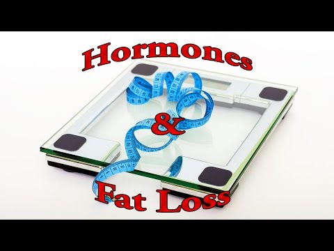 Hormones and Fat Loss