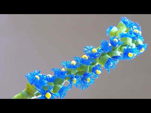 How To Make Very Easy and Beautiful Plastic Bottle Flower - Plastic Bottle Craft - Bottle Art