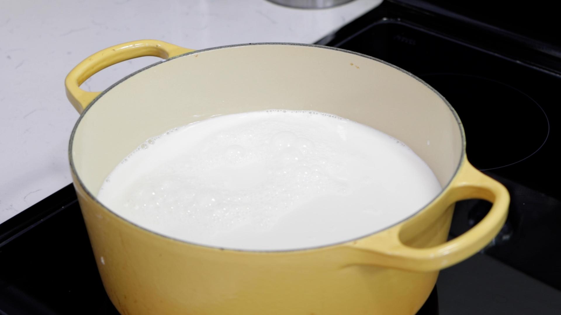 How to Make Mozzarella Cheese with Cheap Milk.00_02_09_21.Still004.jpg