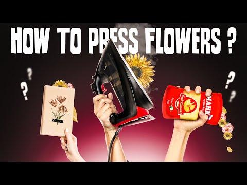 How to Press Flowers | Dried Flowers for Crafts | Masherisha EN