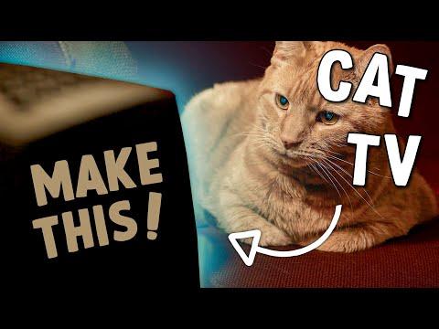 How to make a Raspberry Pi Cat TV