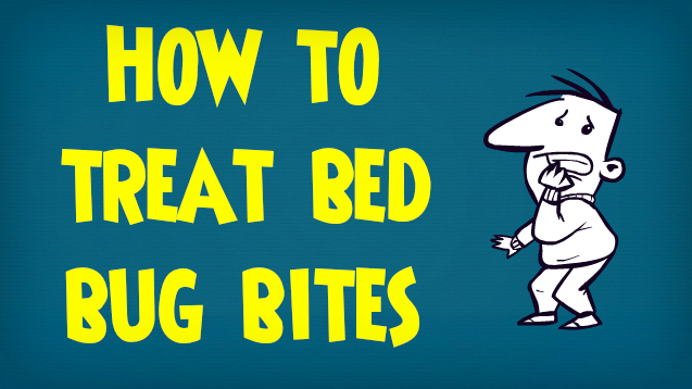 How to treat bed bug bites.png