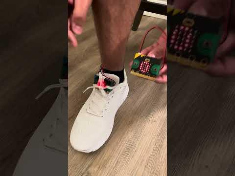 Leg Extension Microbit