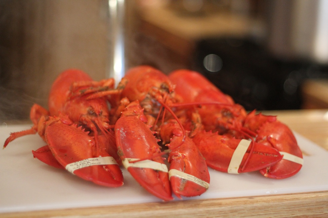 Lobster Steamed Done.jpg