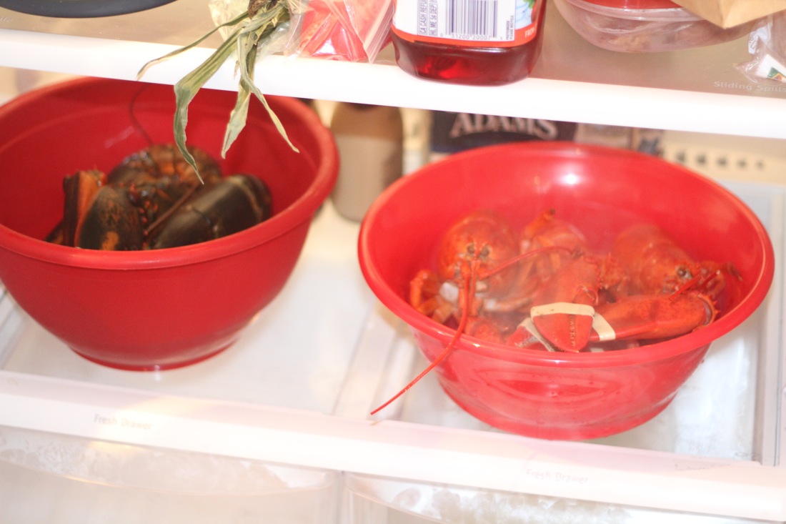 Lobsters Steamed Chillin.jpg