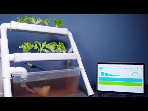 Make your hydroponics system fully automated and view data via the app