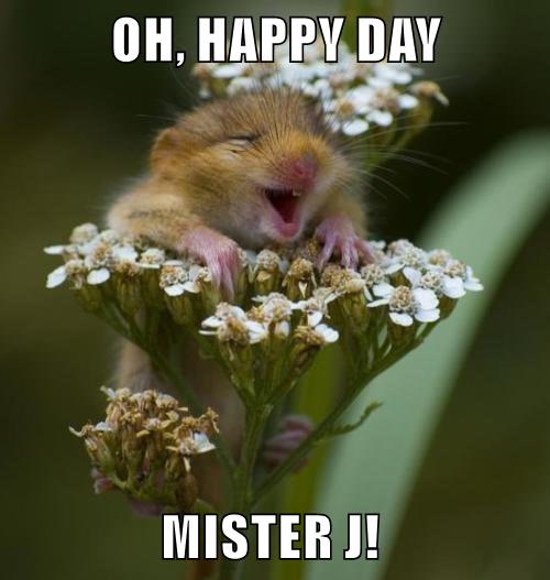 OH, HAPPY DAY MISTER J!.png