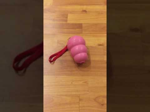 Pet Toy Beeper Test 3