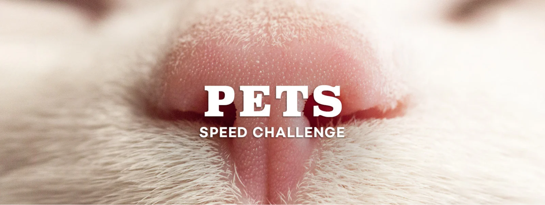 Pets speed challenge.PNG