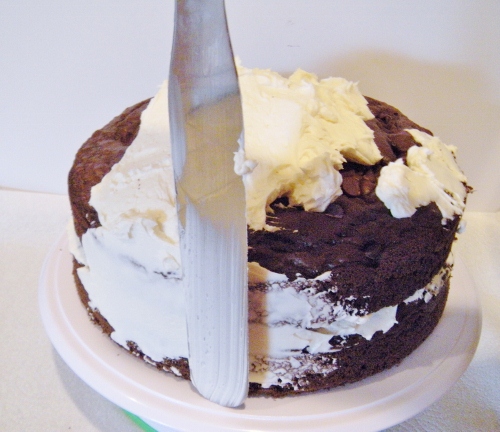 Pies and Cake! 028 (500x432).jpg