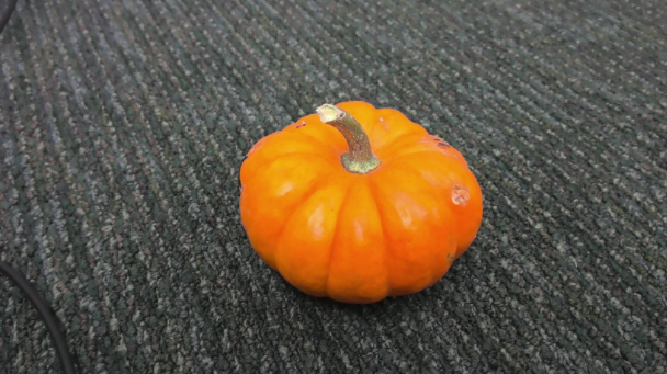 Pumpkin Step 1.PNG