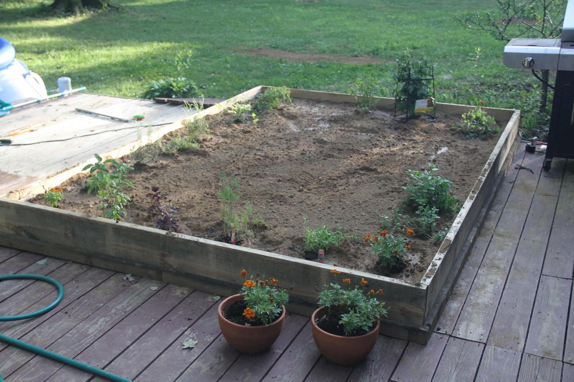 Raised Bed.jpg